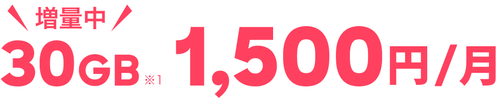 30GB増量中 1,500円/月