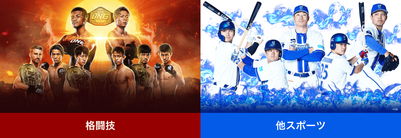 格闘技・他スポーツ